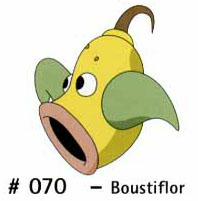 N 070 Boustiflor